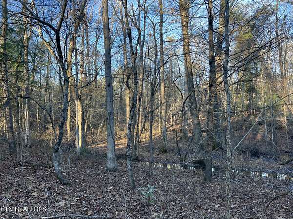 0.25 Acres of Residential Land for Sale in Crossville, Tennessee