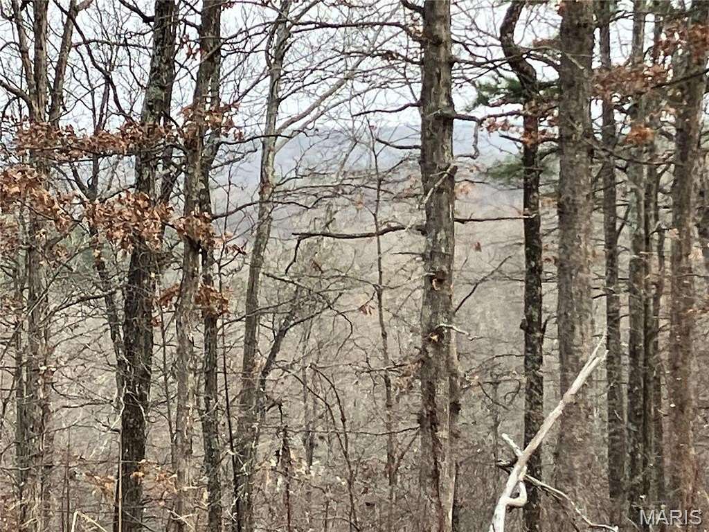 5 Acres of Land for Sale in Fredericktown, Missouri