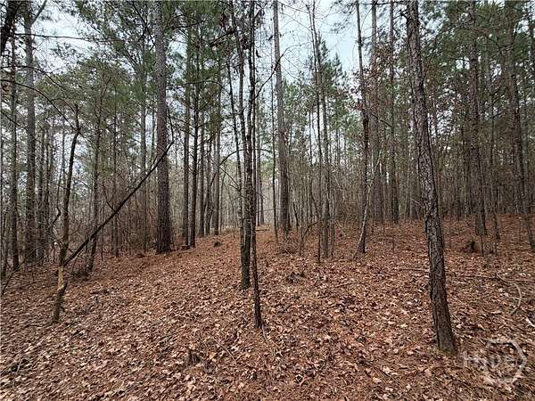 1.47 Acres of Residential Land for Sale in Greensboro, Georgia