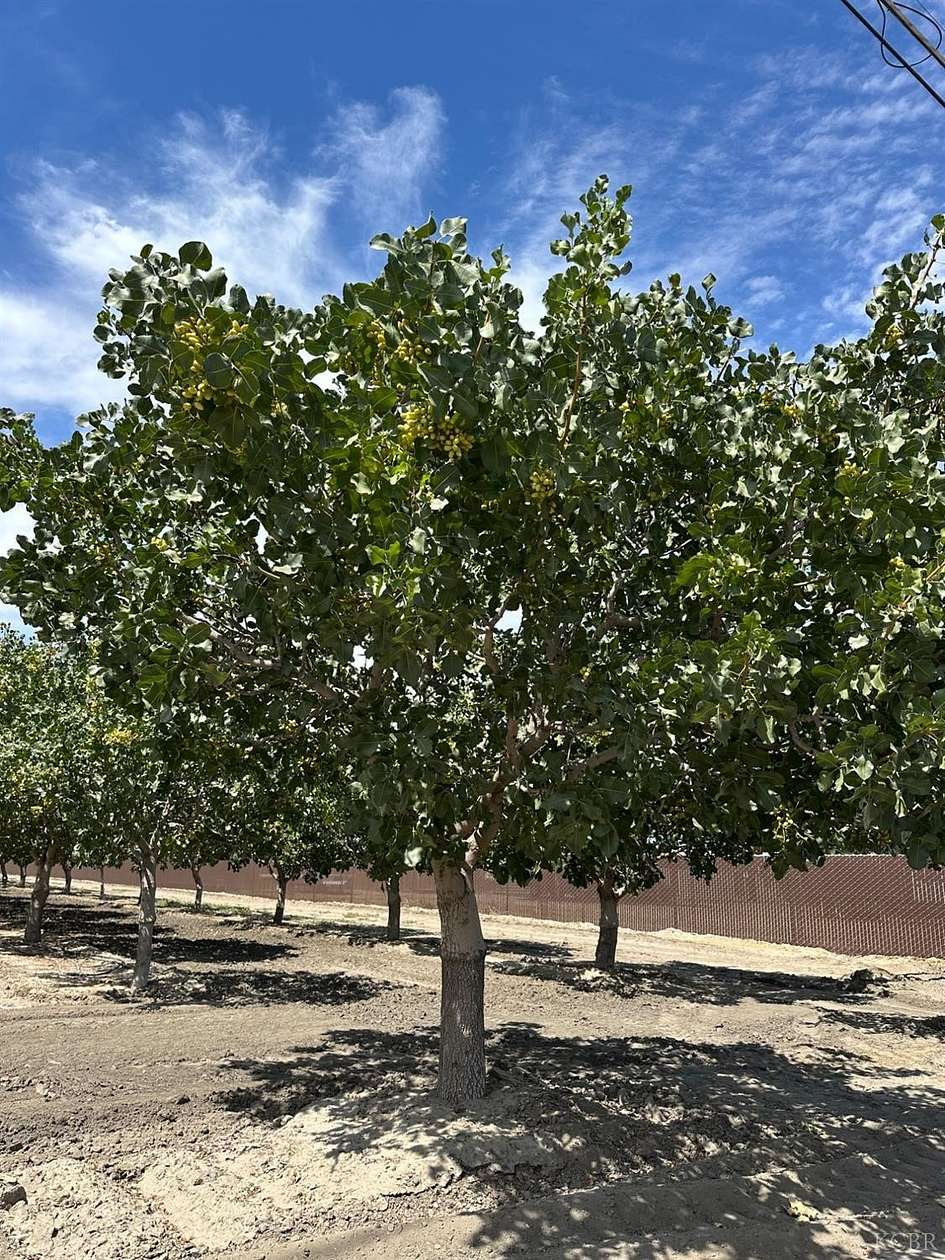 21.5 Acres of Agricultural Land for Sale in Stratford, California