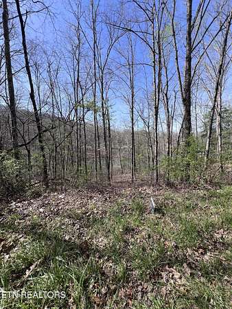 0.19 Acres of Residential Land for Sale in Crossville, Tennessee