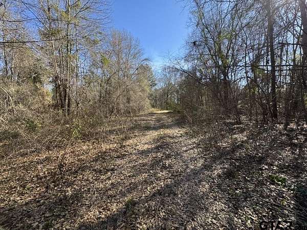 5 Acres of Residential Land for Sale in Whitehouse, Texas