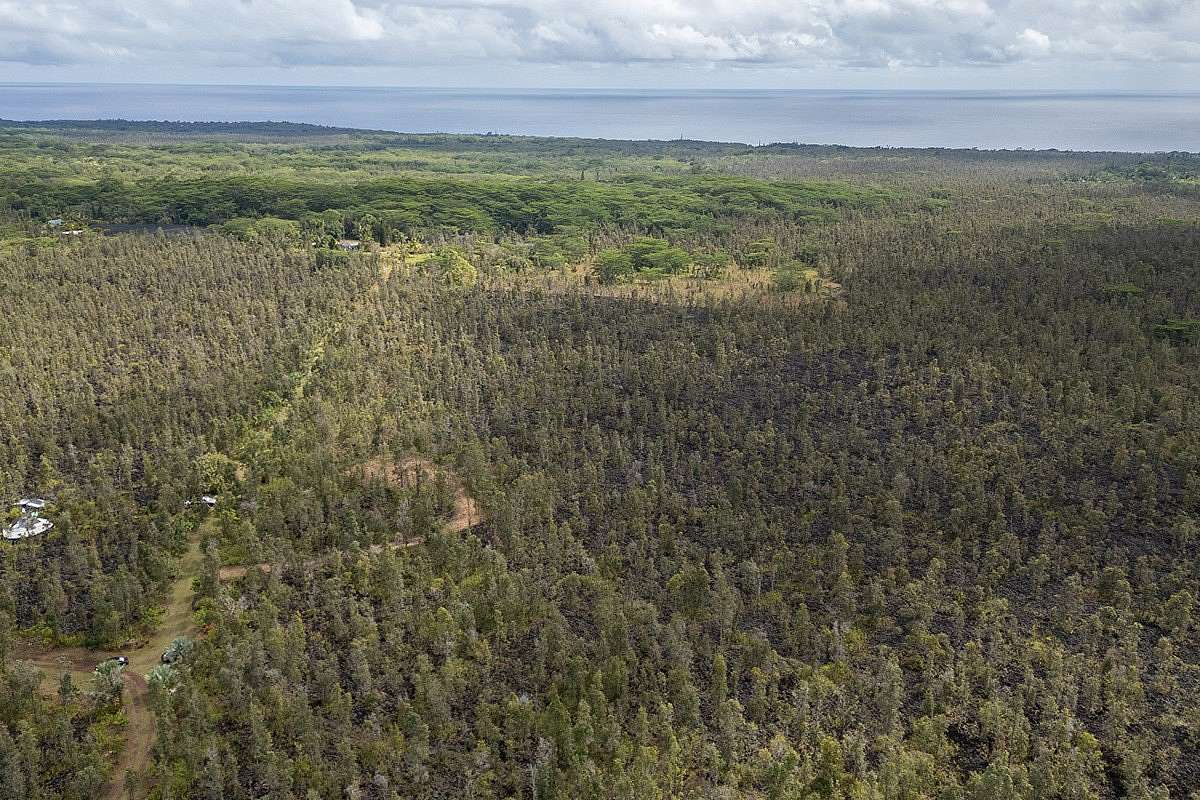 14 Acres of Land for Sale in Pahoa, Hawaii