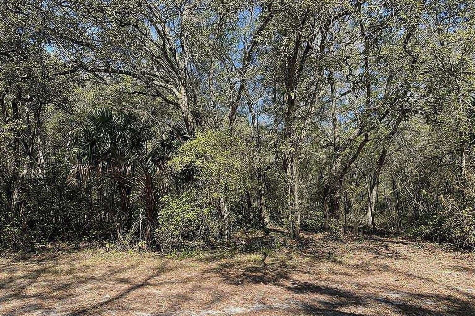 0.13 Acres of Residential Land for Sale in Orange City, Florida