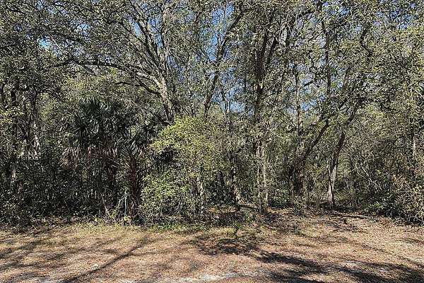 0.13 Acres of Residential Land for Sale in Orange City, Florida