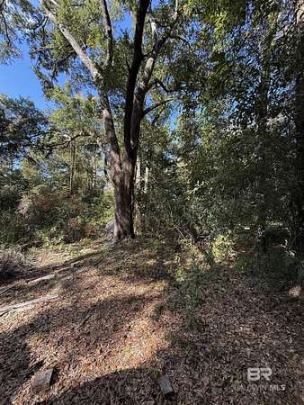 5.9 Acres of Residential Land for Sale in Rosinton, Alabama