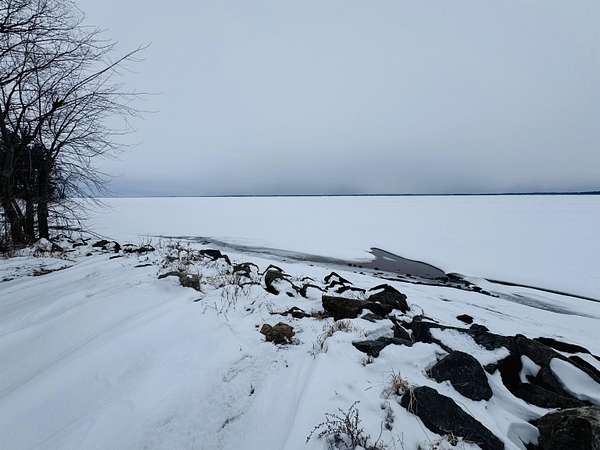 3 Acres of Residential Land for Sale in Arkdale, Wisconsin