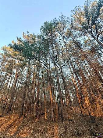 0.53 Acres of Residential Land for Sale in Eatonton, Georgia