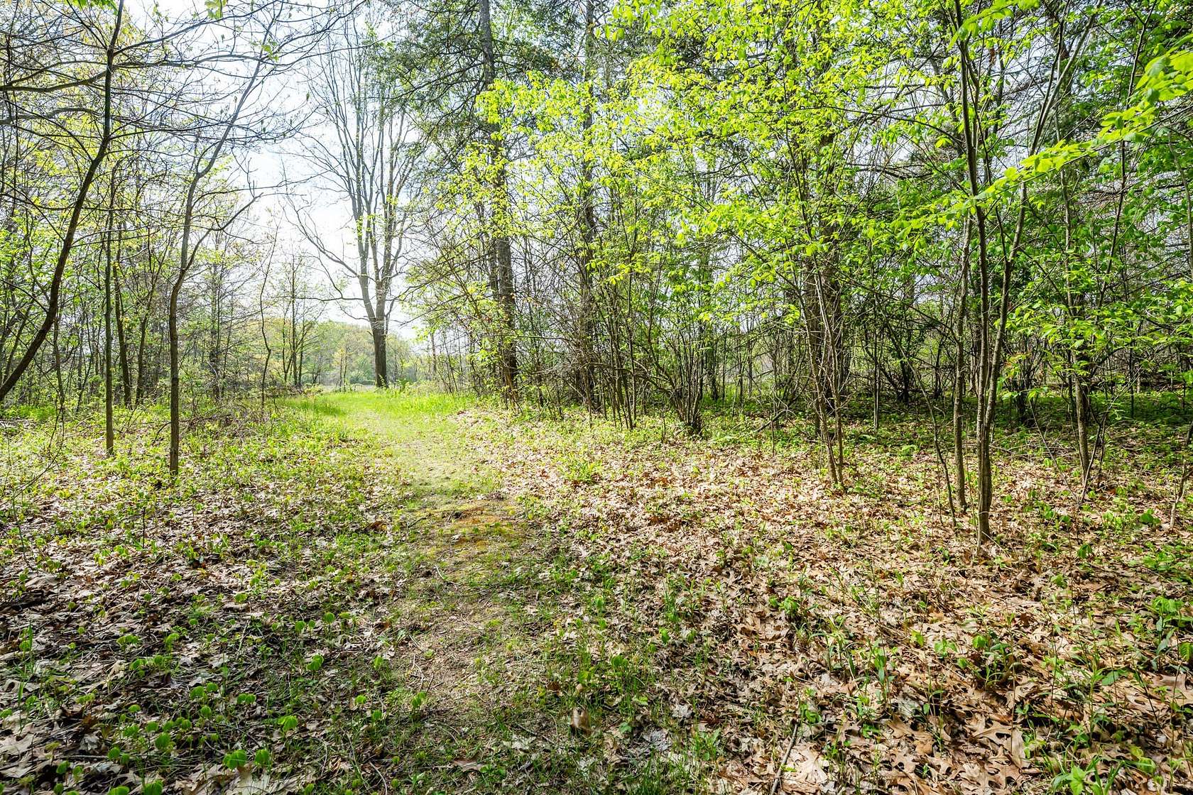 4 Acres of Residential Land for Sale in Bridgman, Michigan