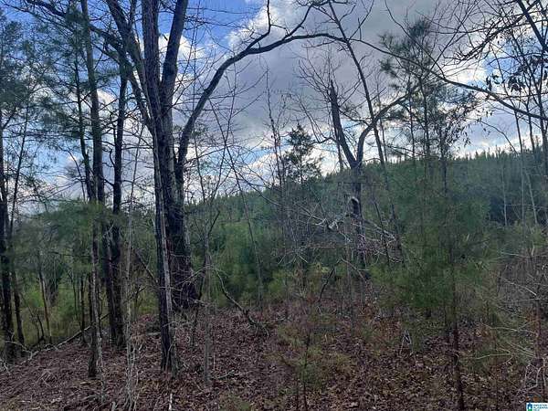 10 Acres of Recreational & Residential Land for Sale in West Blocton, Alabama
