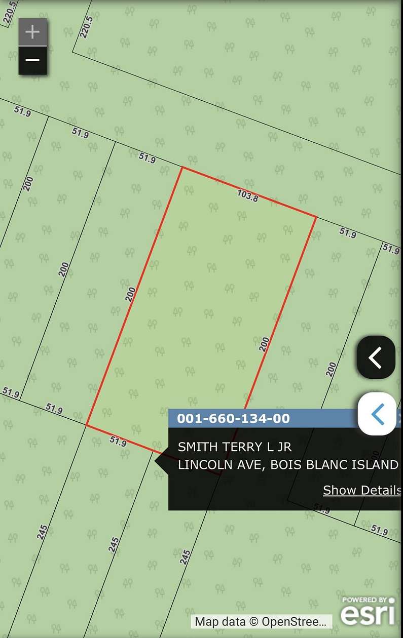 Residential Land for Sale in Bois Blanc Township, Michigan