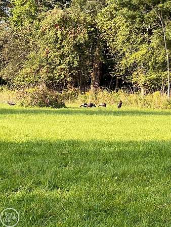 2.86 Acres of Residential Land for Sale in Croswell, Michigan