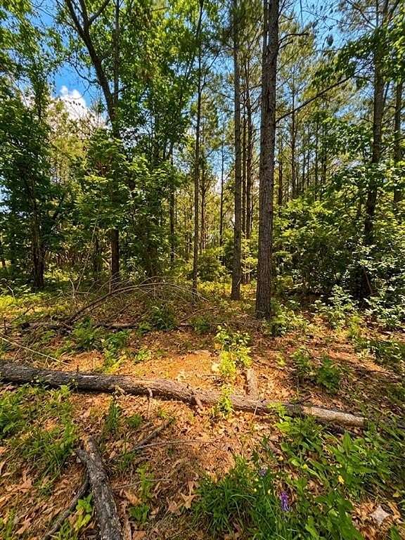 1 Acre of Residential Land for Sale in Broken Bow, Oklahoma