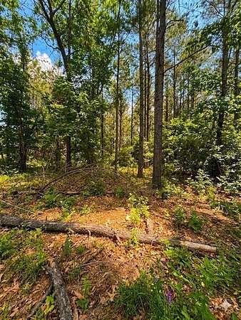 1 Acre of Residential Land for Sale in Broken Bow, Oklahoma