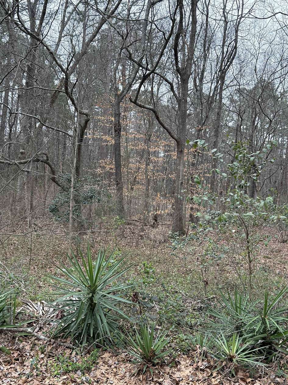 1.48 Acres of Residential Land for Sale in Pacolet, South Carolina