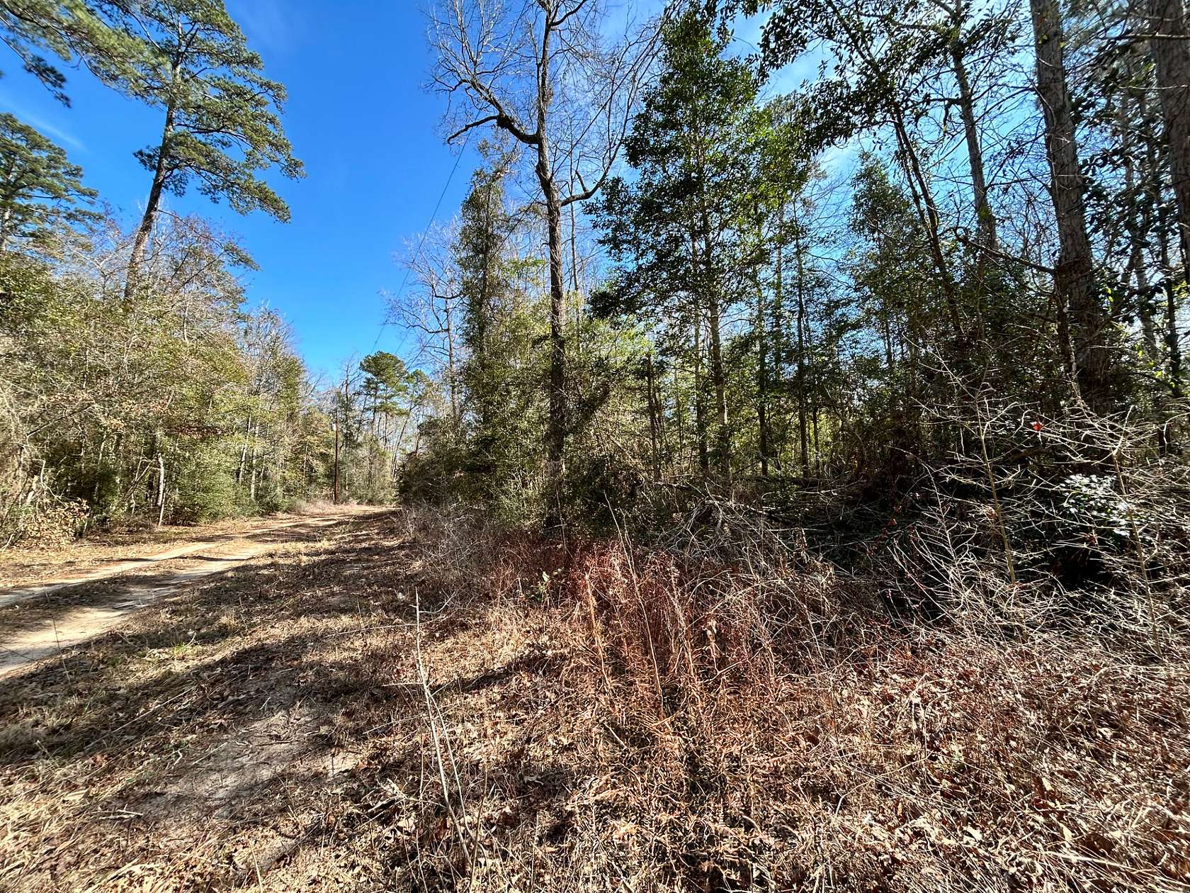 0.7 Acres of Residential Land for Sale in Woodville, Texas