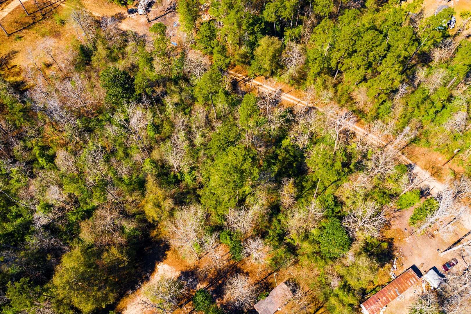 0.7 Acres of Residential Land for Sale in Woodville, Texas
