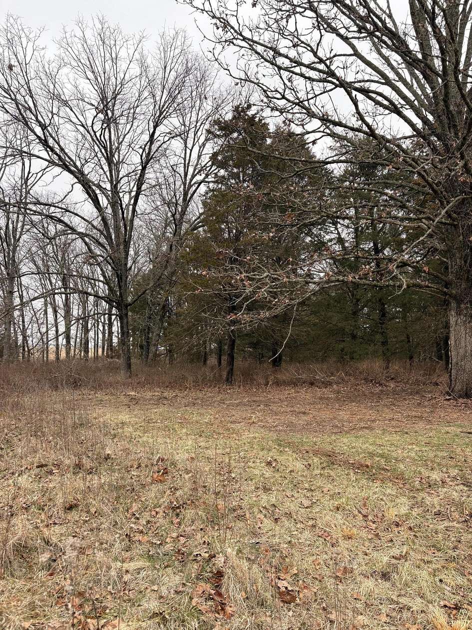 2 Acres of Residential Land for Sale in Rogersville, Missouri