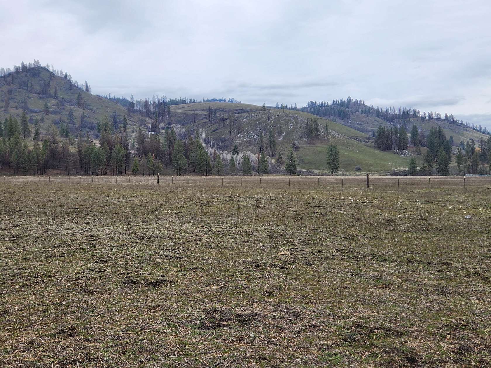 10.5 Acres of Land for Sale in Kettle Falls, Washington
