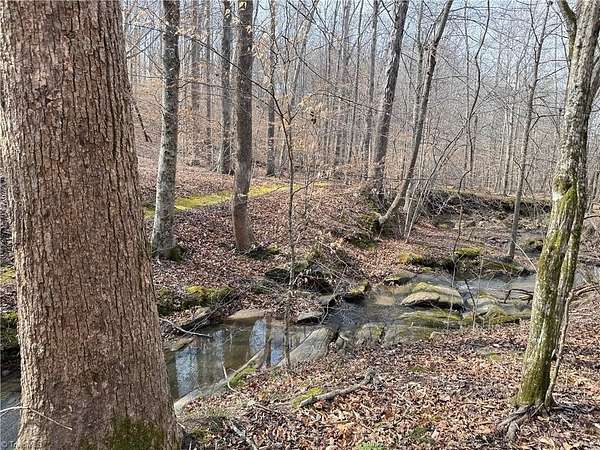 64.9 Acres of Recreational & Residential Land for Sale in Reidsville, North Carolina