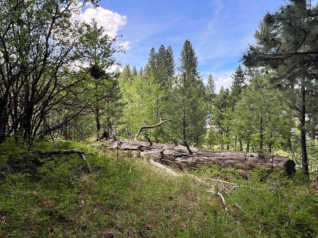 0.51 Acres of Residential Land for Sale in Cascade, Idaho
