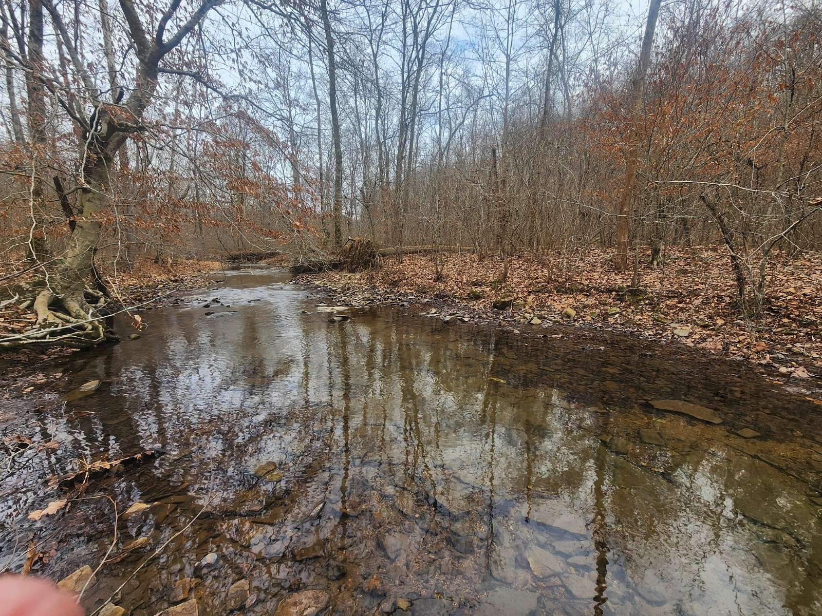 10 Acres of Land for Sale in Lawrenceburg, Tennessee