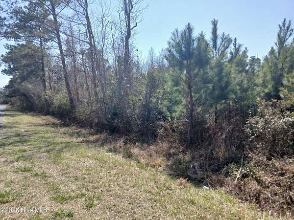 0.5 Acres of Residential Land for Sale in Sneads Ferry, North Carolina