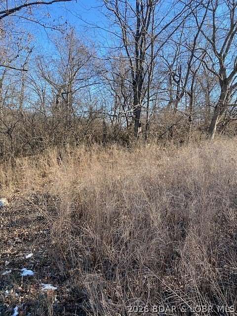 0.41 Acres of Residential Land for Sale in Lake Ozark, Missouri