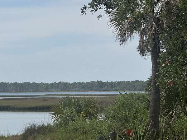 0.22 Acres of Residential Land for Sale in Panacea, Florida