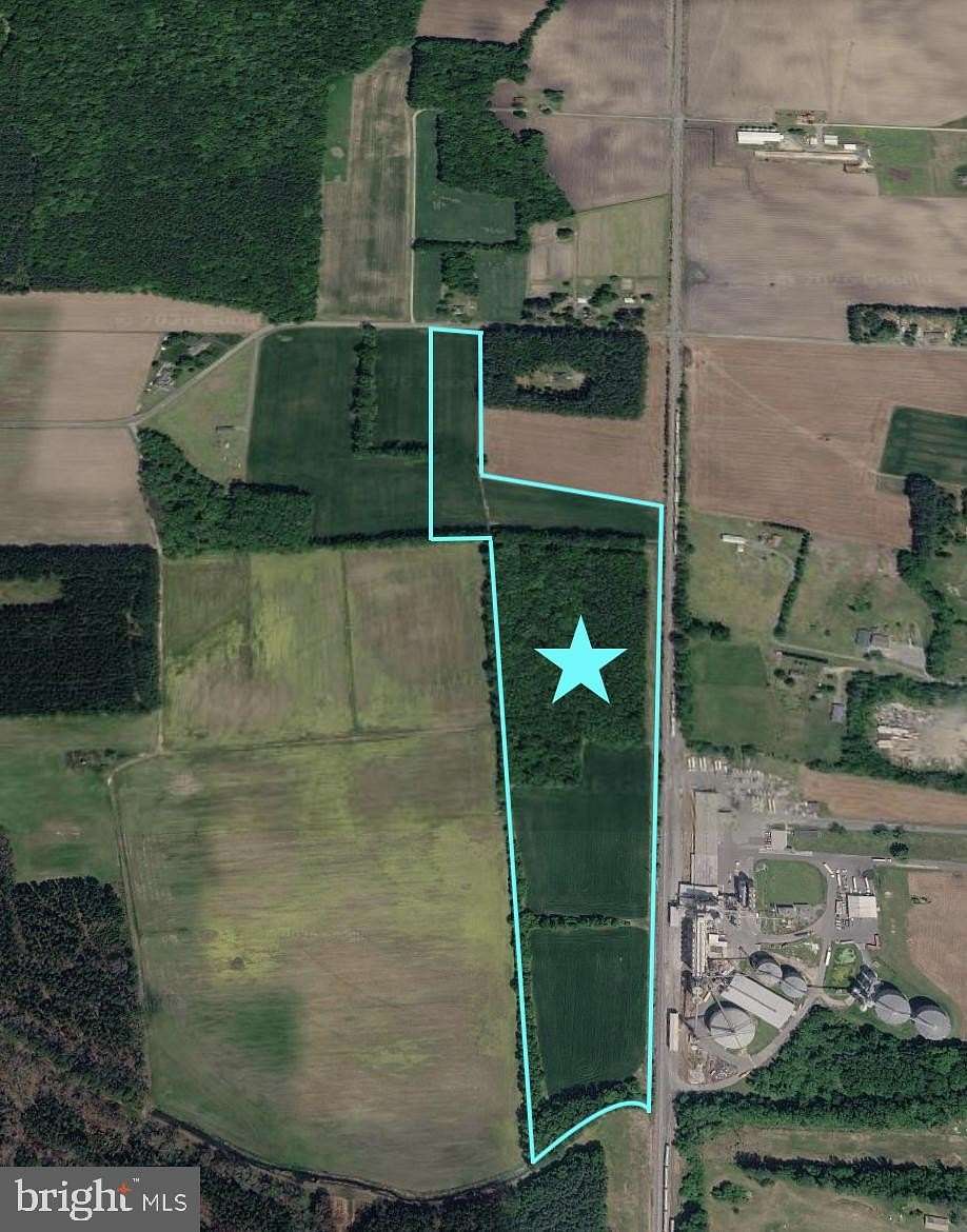 35.9 Acres of Land for Sale in Delmar, Delaware