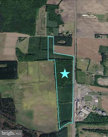 35.9 Acres of Land for Sale in Delmar, Delaware