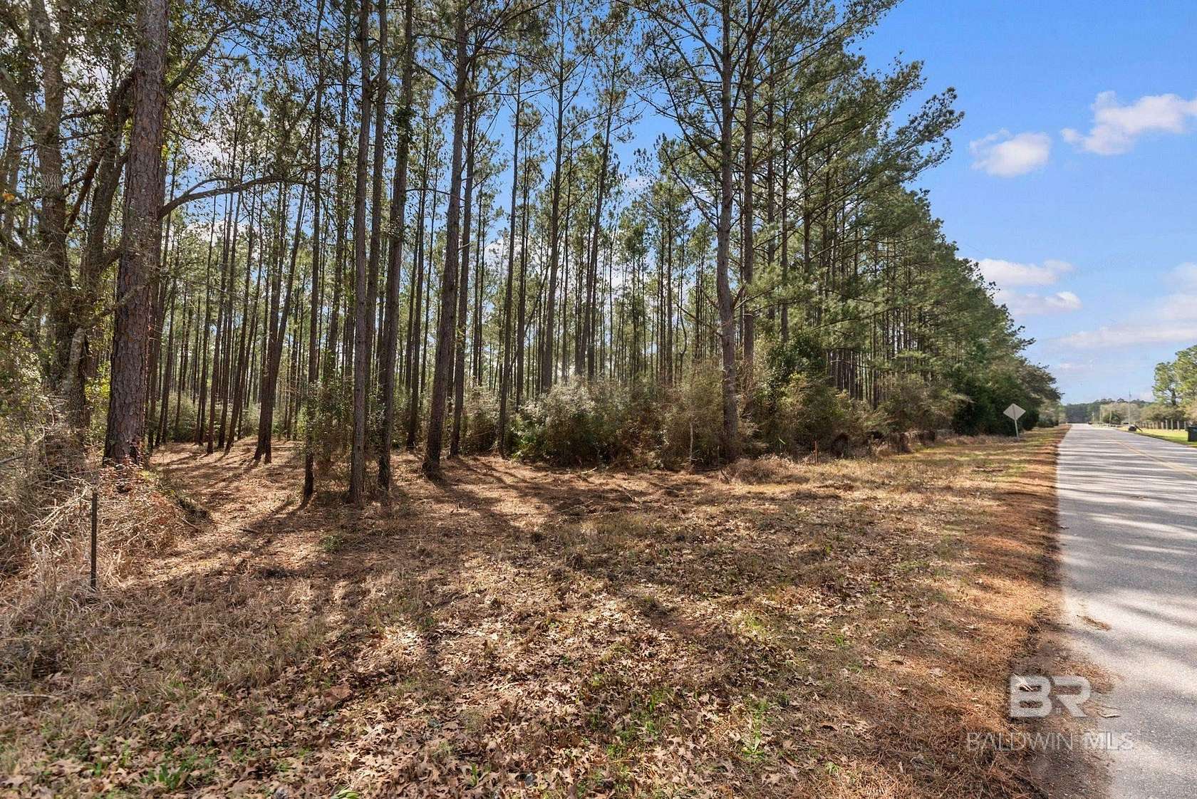 2.4 Acres of Residential Land for Sale in Seminole, Alabama
