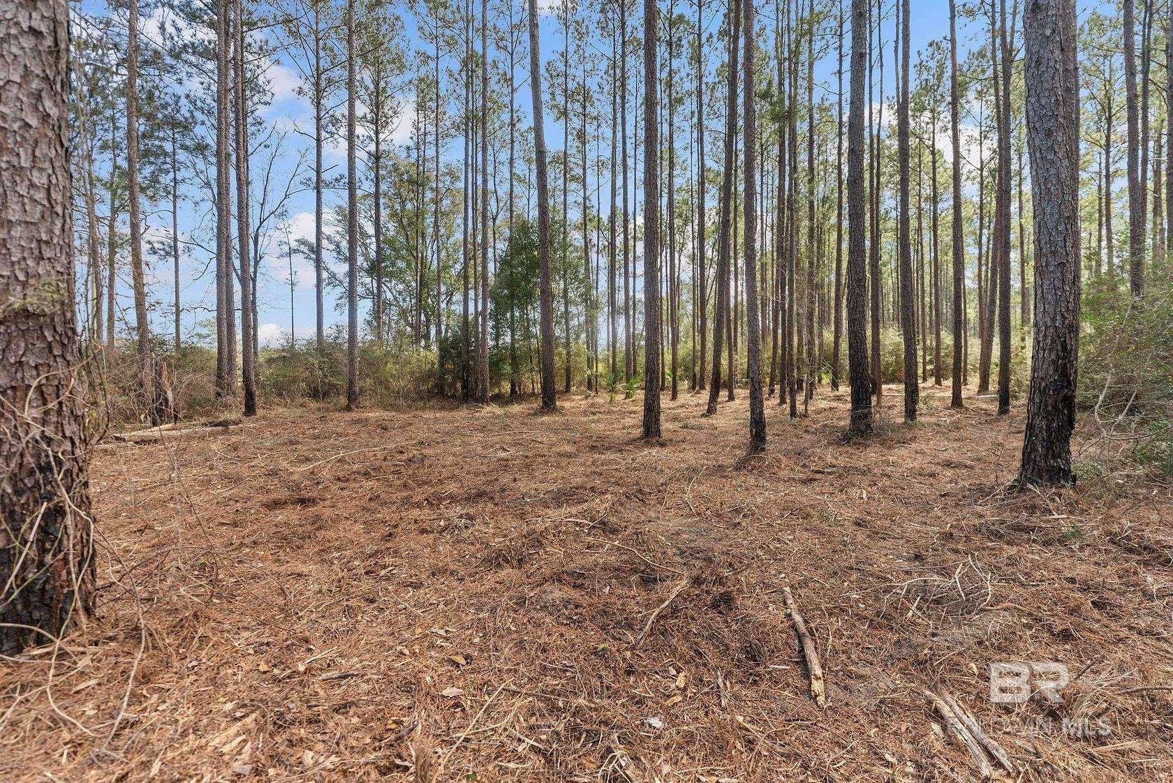 2.4 Acres of Residential Land for Sale in Seminole, Alabama