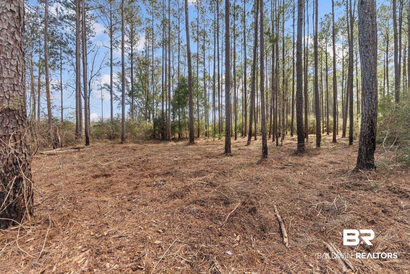 2.4 Acres of Residential Land for Sale in Seminole, Alabama