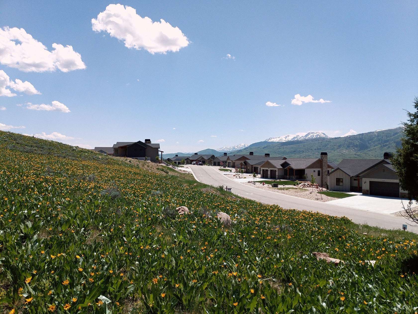 0.46 Acres of Residential Land for Sale in Eden, Utah
