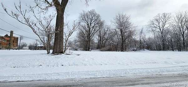 0.06 Acres of Residential Land for Sale in Detroit, Michigan