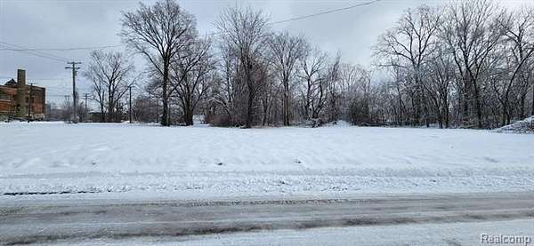 0.06 Acres of Residential Land for Sale in Detroit, Michigan