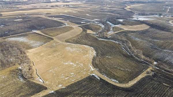 99.9 Acres of Land for Sale in Cologne, Minnesota