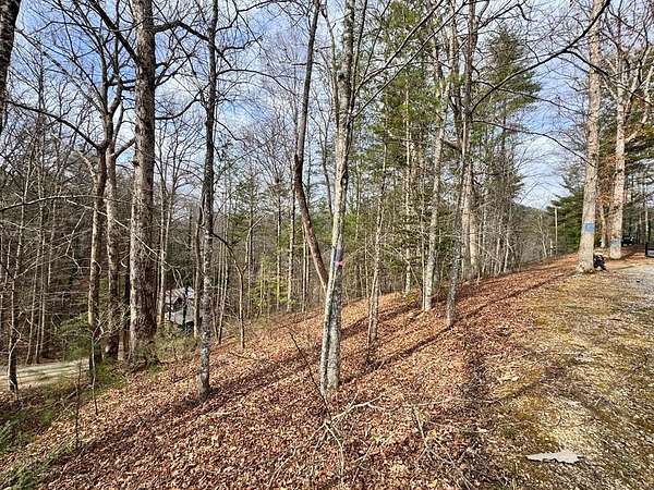 0.19 Acres of Residential Land for Sale in Almond, North Carolina