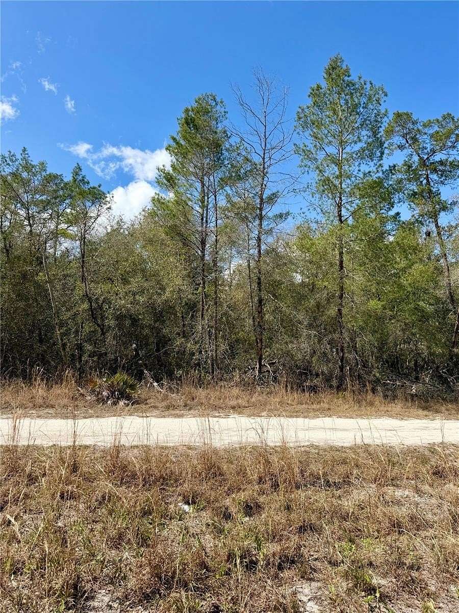 0.22 Acres of Residential Land for Sale in Fort McCoy, Florida