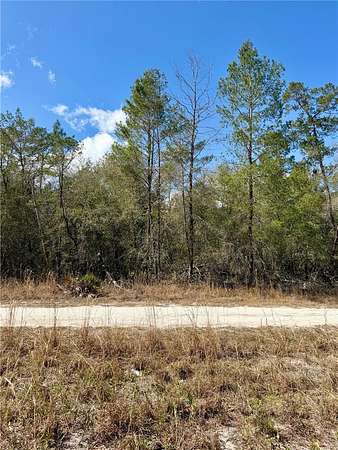 0.22 Acres of Residential Land for Sale in Fort McCoy, Florida