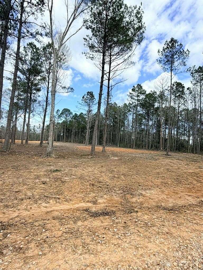 45 Acres of Recreational & Residential Land for Sale in Poplarville, Mississippi
