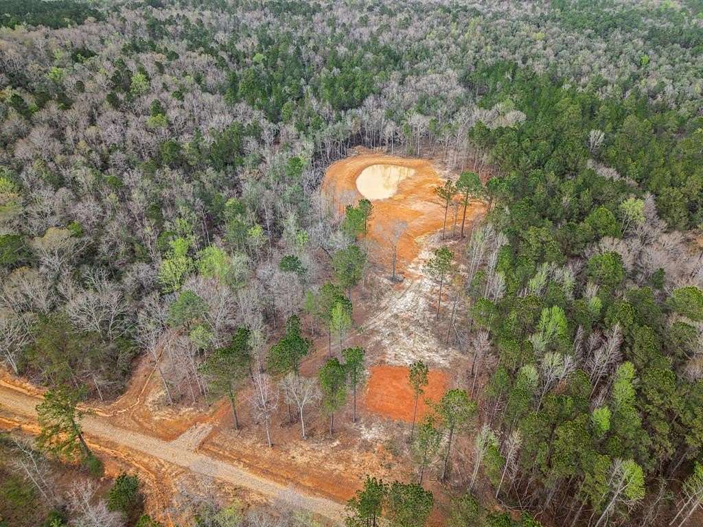 45 Acres of Recreational & Residential Land for Sale in Poplarville, Mississippi