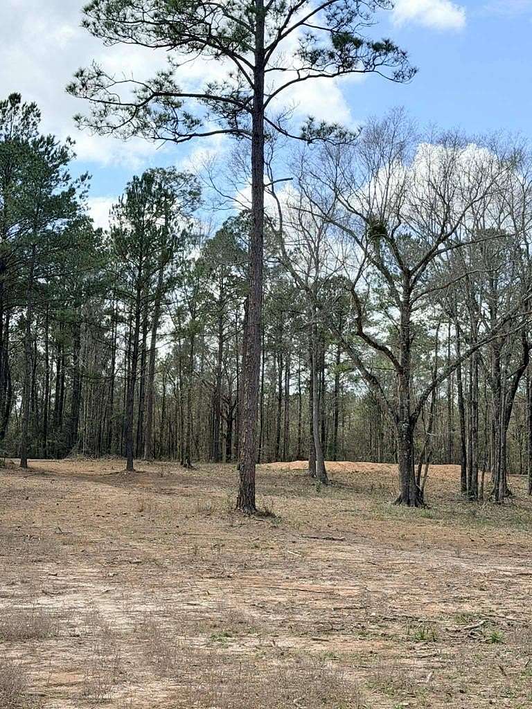 45 Acres of Recreational & Residential Land for Sale in Poplarville, Mississippi