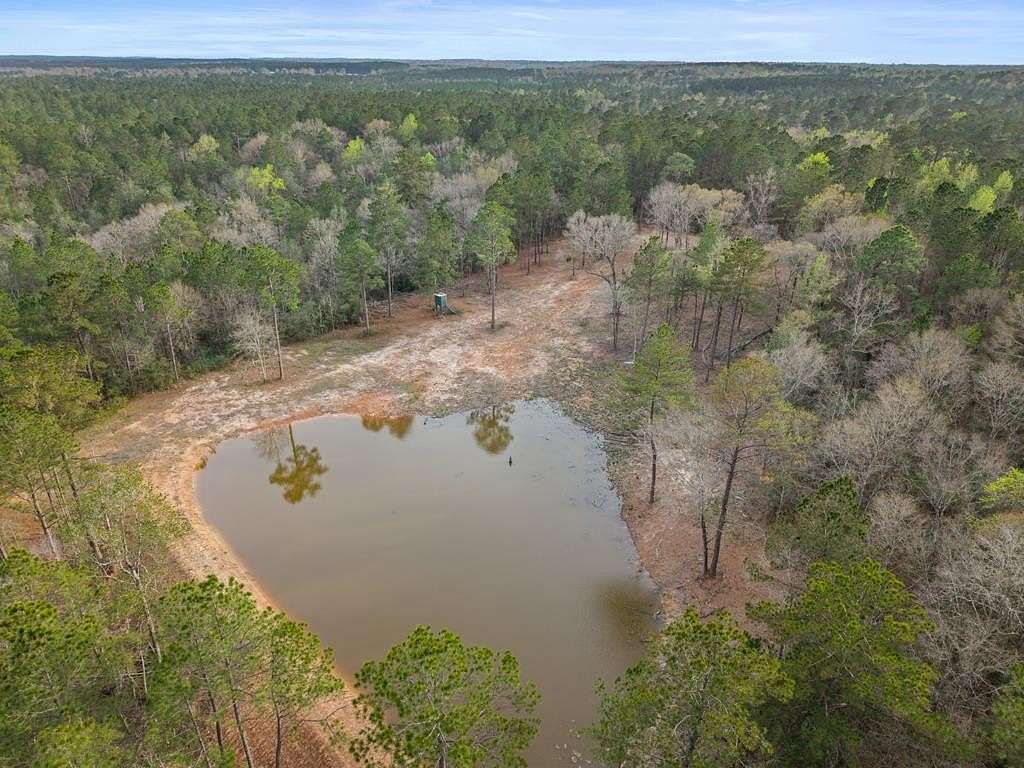 45.7 Acres of Recreational & Residential Land for Sale in Poplarville, Mississippi