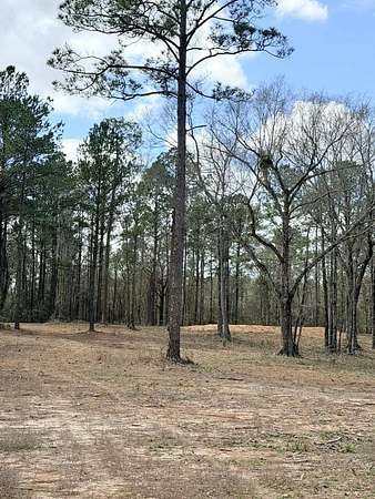 45 Acres of Recreational & Residential Land for Sale in Poplarville, Mississippi