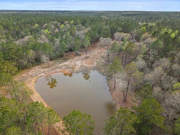 45.7 Acres of Recreational & Residential Land for Sale in Poplarville, Mississippi