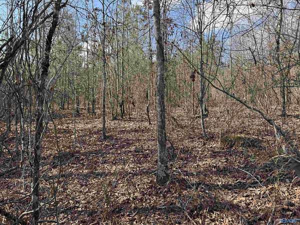 5.65 Acres of Residential Land for Sale in Piedmont, Alabama