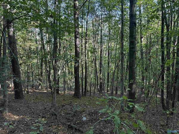 4.1 Acres of Residential Land for Sale in Bear Creek, Alabama