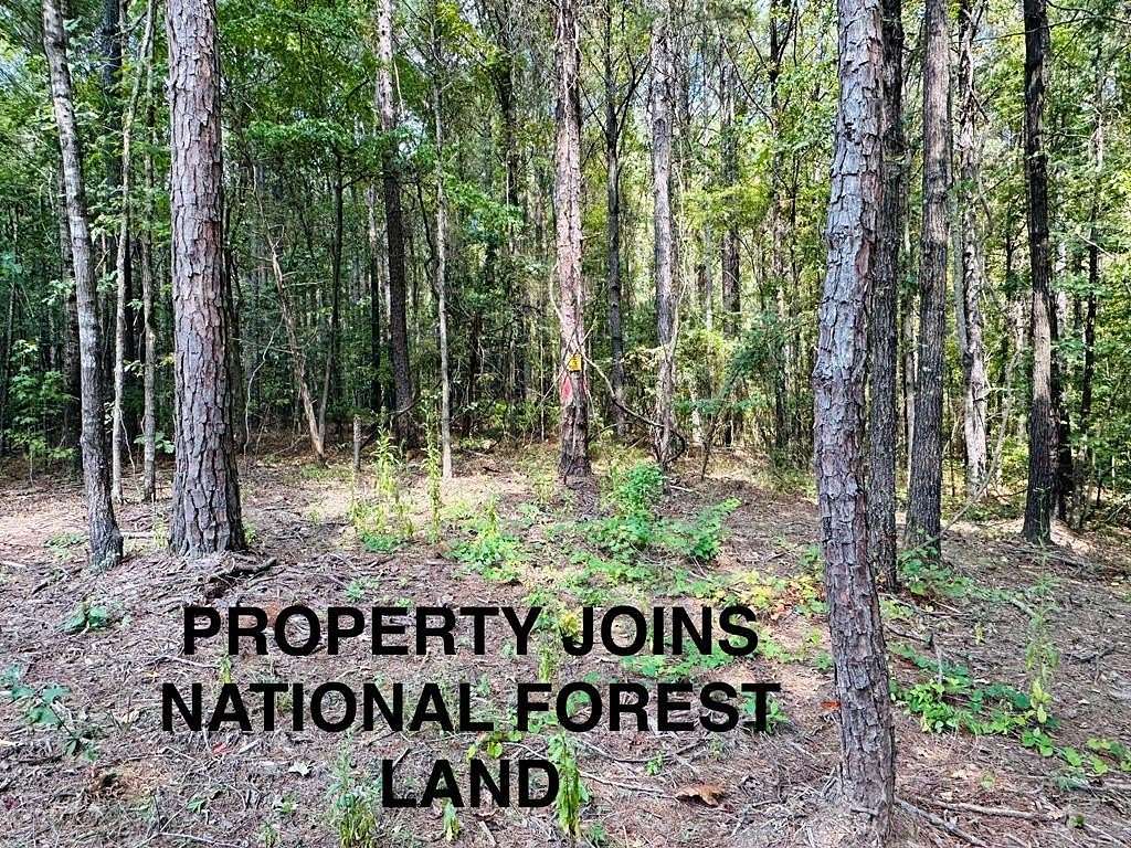 70 Acres of Land for Sale in Thaxton, Mississippi